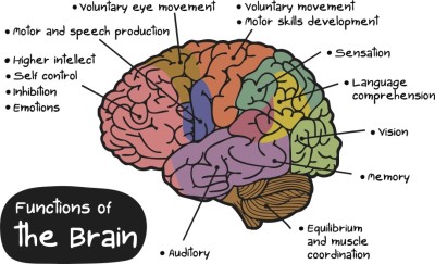 Damage of the brain mental processes and behavior
