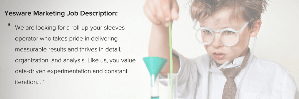 we are looking for - job description template