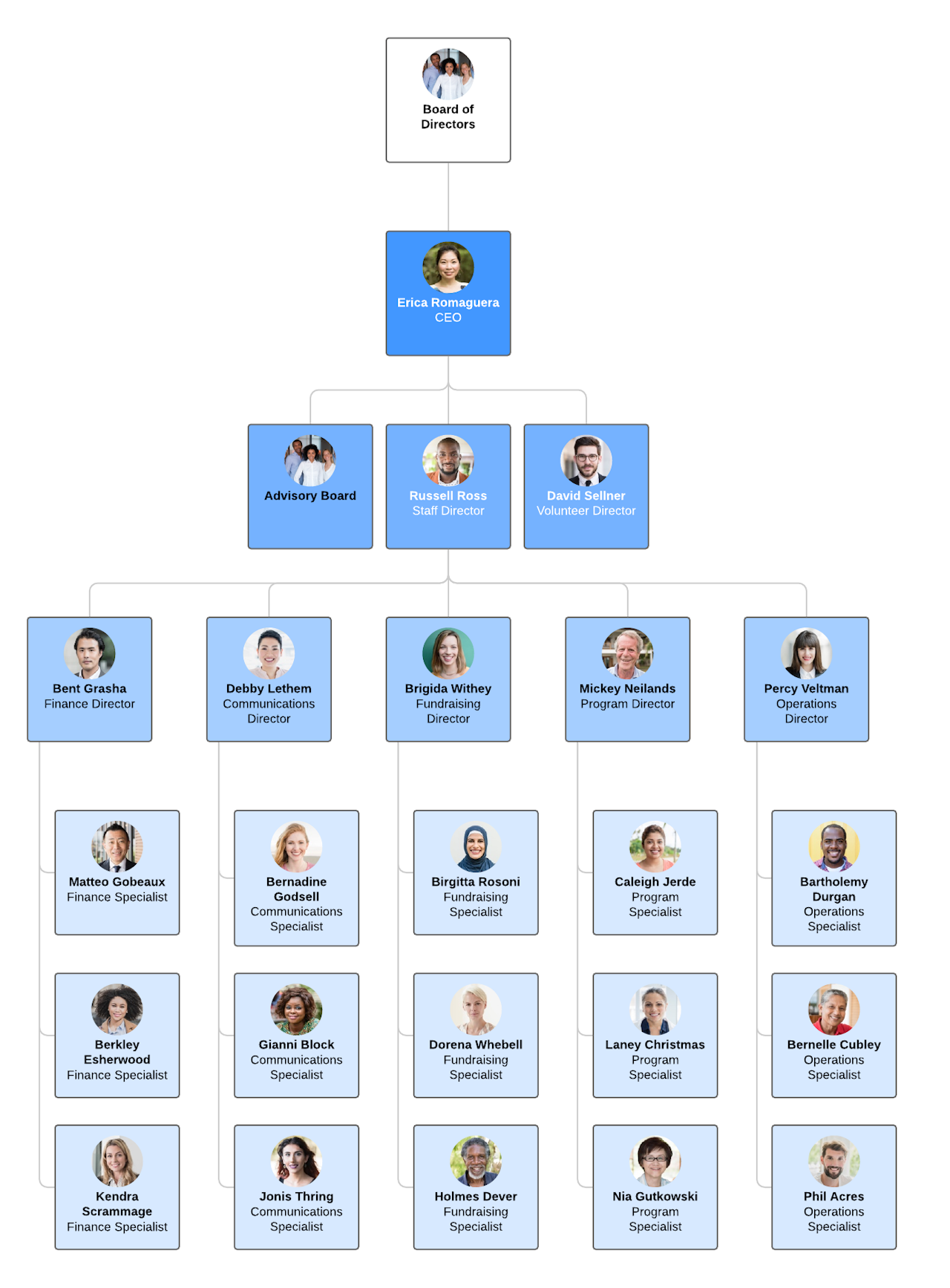 decision-maker organizational structure