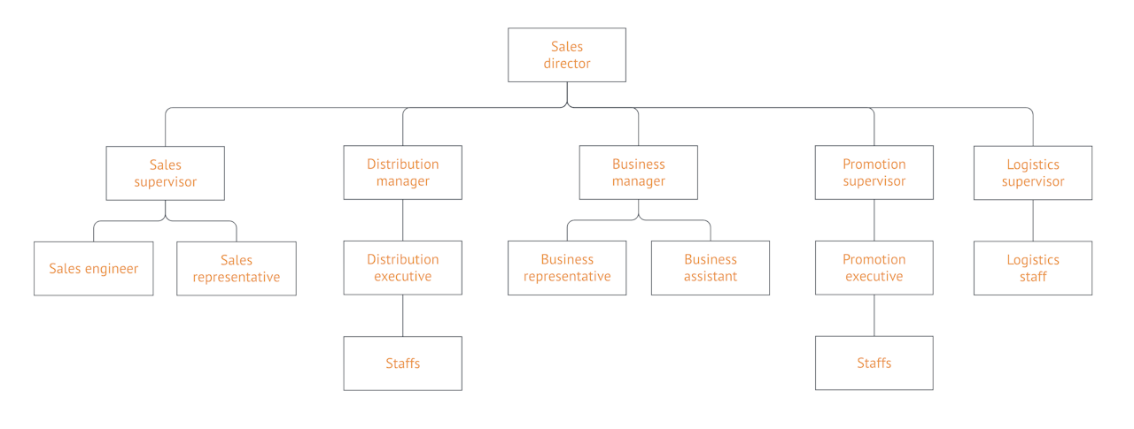 what to include in sales playbook: company overview