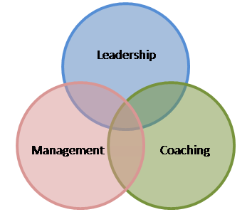 sales coach: leadership, management, coaching
