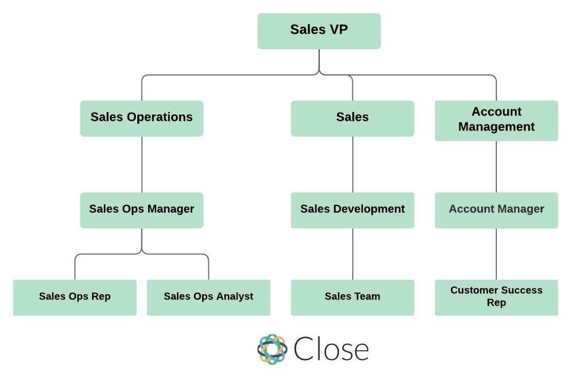 Sales Operations Manager: sales org chart
