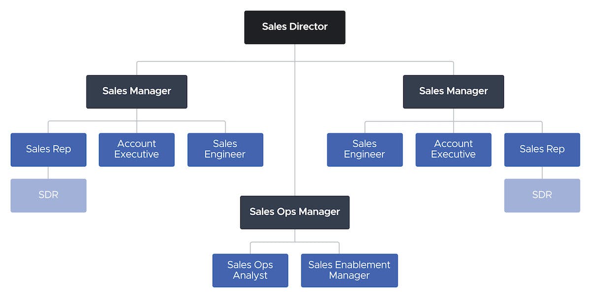 sdr role: org chart