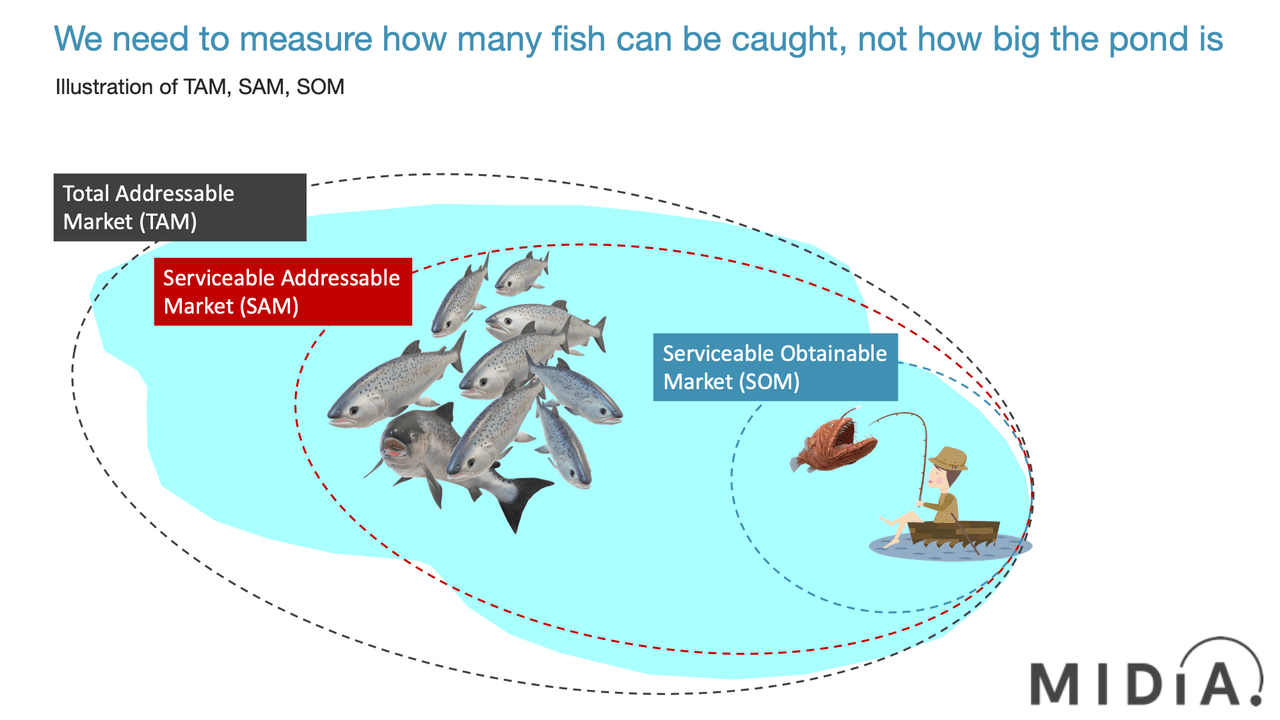 TAM SAM SOM fishing analogy