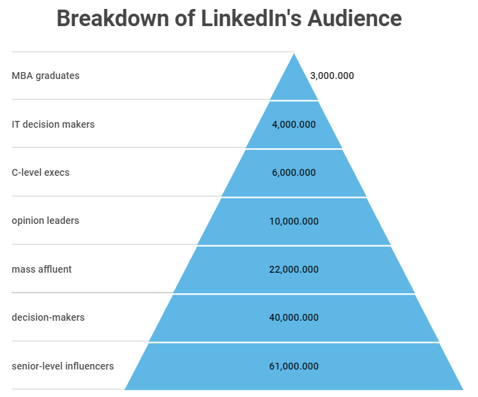 breakdown of LinkedIn's audience