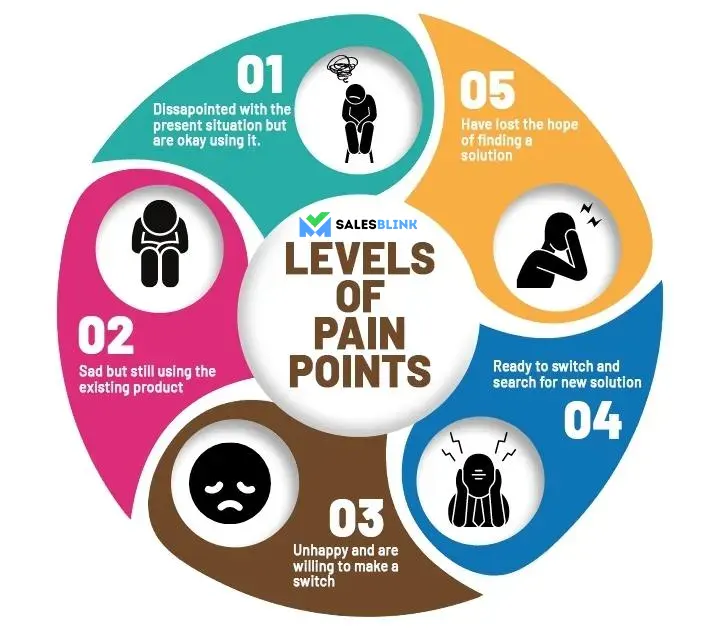 MEDDIC sales process: pain points