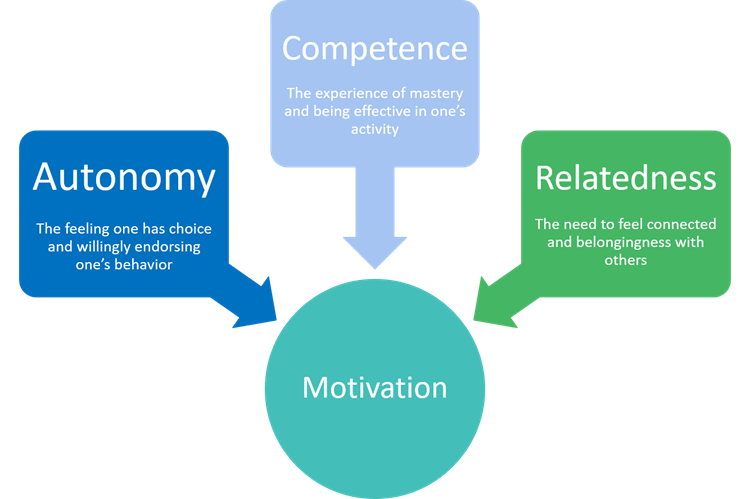 consultative selling: autonomy, competence, relatedness