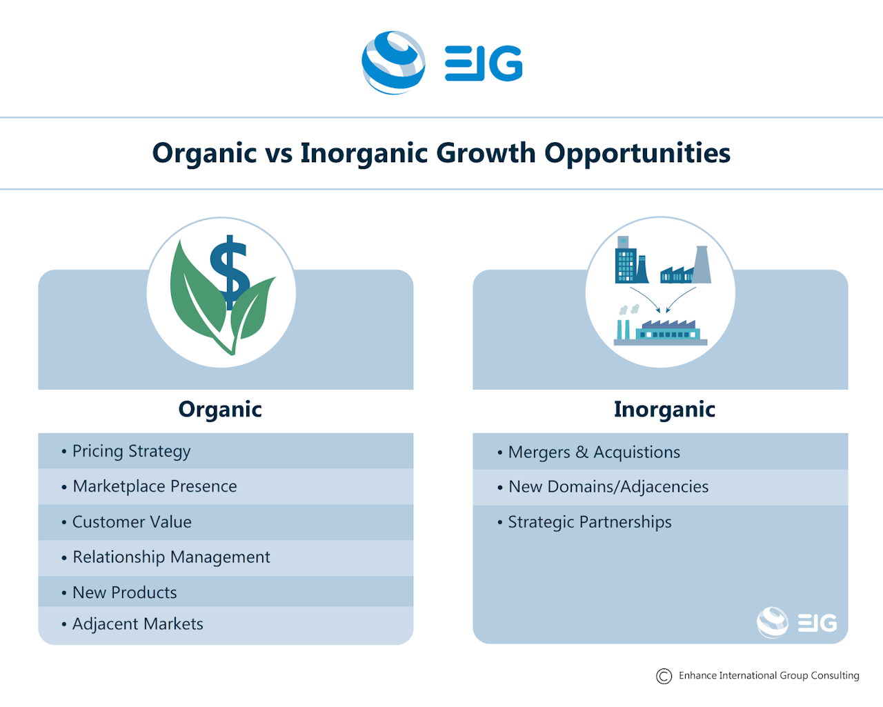 sales growth: organic vs inorganic growth opportunities